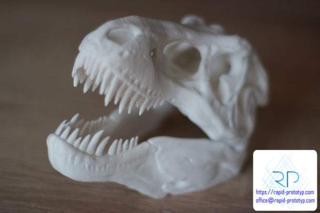 druk 3d czaszki tyranozaura