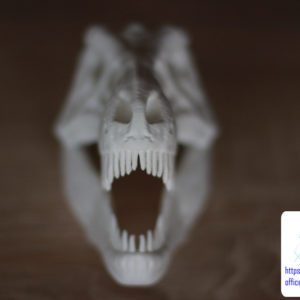 druk 3d czaszki tyranozaura