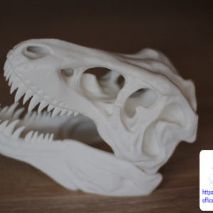 druk 3d czaszki tyranozaura