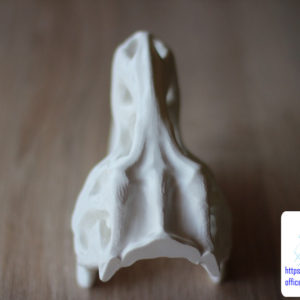 druk 3d czaszki tyranozaura