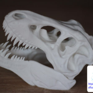 druk 3d czaszki tyranozaura