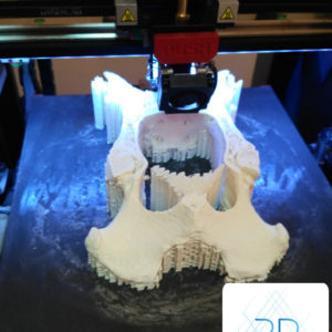 druk-3d-kosc-miednica-tomografia (1) druk 3d kości miednicy edukacja medycyna
