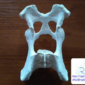 druk-3d-kosc-miednica-tomografia (5) druk 3d kości miednicy edukacja medycyna