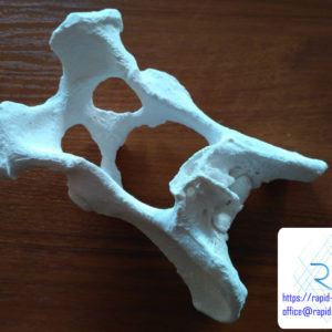druk-3d-kosc-miednica-tomografia (6) druk 3d kości miednicy edukacja medycyna